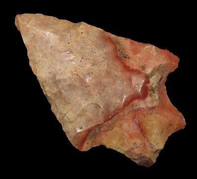 2 1/8" Seminole Point, Found Between 1968- 2023 By Jeff Thompson in Nassau County Florida