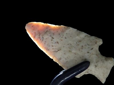 2" Translucent Bottleneck, Found Between 1968- 2023 By Jeff Thompson in Either Florida or Georgia