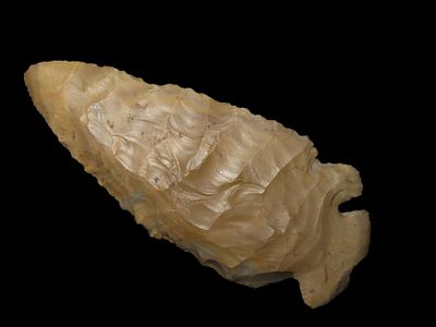 3 3/4" Bulls Eye Dovetail, Found By Jeff Thompson in Either Florida or Georgia