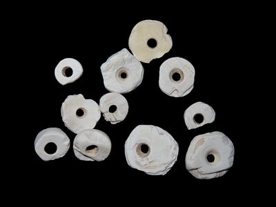 Set of Shell Beads Found Between 1968- 2023 By Jeff Thompson in Either Florida or Georgia