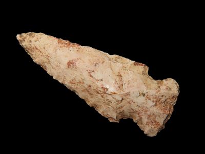 2 1/2" Taylor Side Notch Point, Found Between 1968- 2023 By Jeff Thompson in Polk County Florida