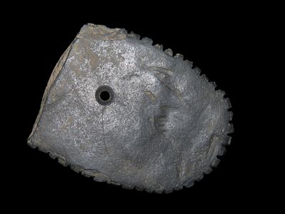 2 3/4" Heartbreaker Gorget, Found by Jeff Thompson in Either Florida or Georgia