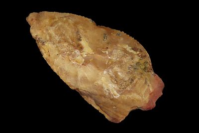 3 3/4" Abbey Pt, found in either Florida or Georgia between 1968-2023 by Jeff Thompson