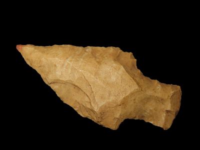 2 3/8" Bradford Pt. Polk Co, Florida Found Between 1968-2023 By Jeff Thompson