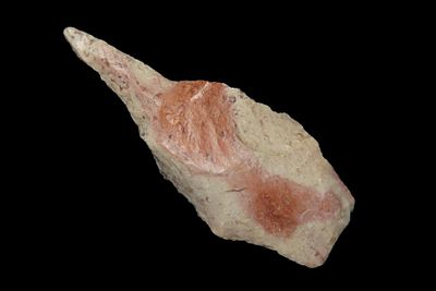 2 1/4" Colorful Adena Drill