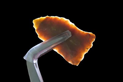 1 1/2" Translucent Colorful Bird Point