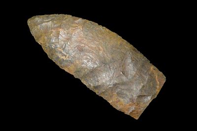 3 1/8" Knife Great Color