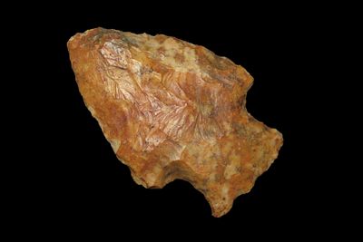 2 9/16" Gorgeous Color Hardin