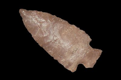 1 7/8" Apple Blossom