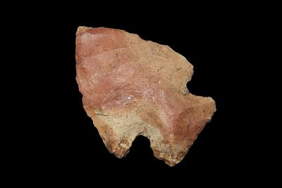 1 3/4" Colorful Snyder