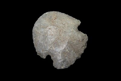 1 1/2" Hopewell Blunt