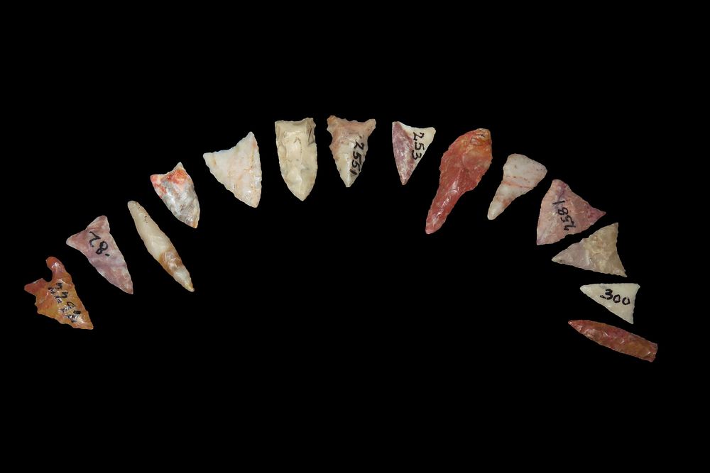 Group of 15 Bird Pts. & Micro-Drills, Texas