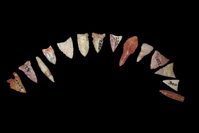 Group of 15 Bird Pts. & Micro-Drills, Texas