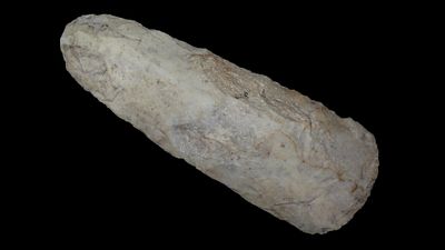 5 5/8" Flint Adz, Found in the Midwest