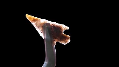 1 1/8" Translucent Bird Point, Found in Mouth of the Palouse River in Witman County, Washington