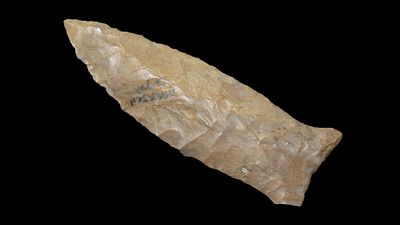 2 1/4" Bever Lake, Jackson Co., Tennessee, Ex. Pettit, Ex. Dickey