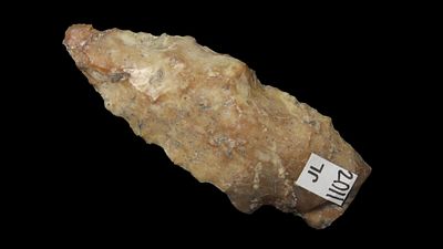 3 1/8" Very Colorful Coral Arrowhead, Florida, Ex. Gorgas, Ex. Jim Lee, Ex. Dickey