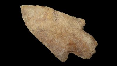 2 3/4" Newan, Florida, Ex. Mumax, Ex. Jim Lee, Ex. Dickey