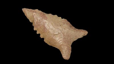 1 9/16" Dalton, Hardin Co., Tennessee, Ex. Dickey