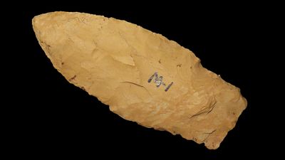 2 7/8" Scercy, Southern Illinois, Ex. Dickey