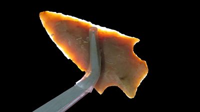 2" Lange, East Texas, Ex. Jim Lee, Ex. Dickey