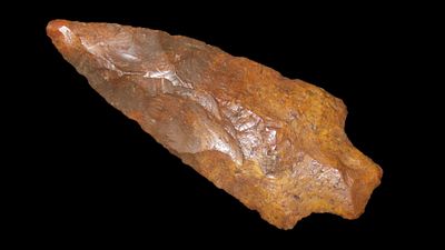 3 916" Diver Found Little Bear Creek, Suwannee Co., Florida, Ex. McKey, Ex. Jim Lee, Ex. Dickey