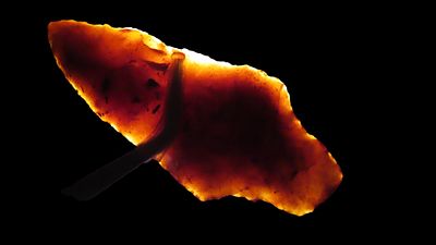 3 5/16" Diver Found Stemmed Point Georgia, Insane Translucent Glowing, Ex. Jim Lee, Ex. Dickey