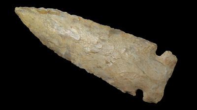 3 5/16" x 1 1/8" Raddatz Side Notched, Ft Payne Chert or Similar, Kentucky near Sonora, COA Dickey