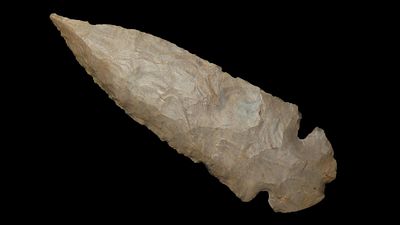 3 3/4" x 1/14" Dovetail, Dover Chert, Ohio, COA Dickey