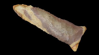 3 1/16" x 1 1/16" Greenbrier, Undetermined Chert, Tennessee, COA Dickey