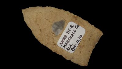 2 1/4" x 1 1/8" Paint Rock Valley, Undetermined Chert, Alabama, COA Dickey