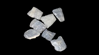 Selection of Paleo Heartbreakers, Includes a Fluted Cumberland Section, from Kentucky