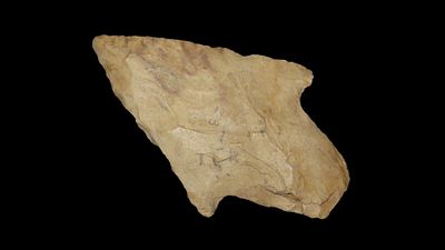 2 1/2” x 1 1/2” Dickson