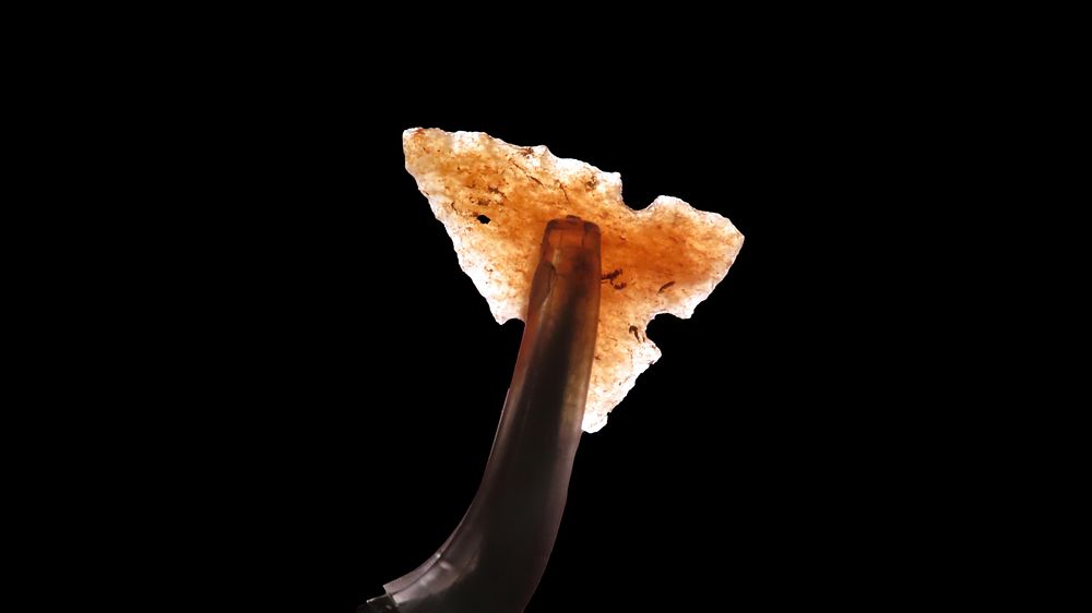 3/4” x 1/2” Birdpoint