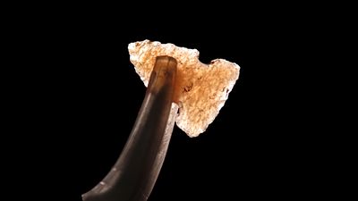 1/2" x 1/4" Colorful Birdpoint