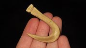 2" CAST of Bone HookImage - 1