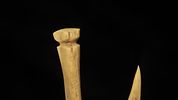 2" CAST of Bone HookImage - 3