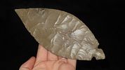 6 3/4" x 2 1/2" CAST of Turkey TailImage - 1