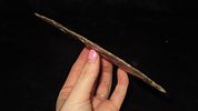 6 3/4" x 2 1/2" CAST of Turkey TailImage - 2