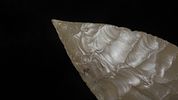 6 3/4" x 2 1/2" CAST of Turkey TailImage - 3