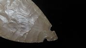 6 3/4" x 2 1/2" CAST of Turkey TailImage - 4