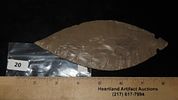 6 3/4" x 2 1/2" CAST of Turkey TailImage - 5