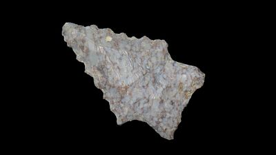 Piedmont, Northern Variety, Eastern Kentucky