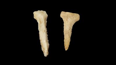 Lot of two Drills, White Co. Missouri