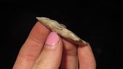 2 3/4" Godar, Found in OhioImage - 2