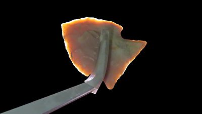 1 5/8" Brewerton Corner Notch, Found in Seymore, Indiana