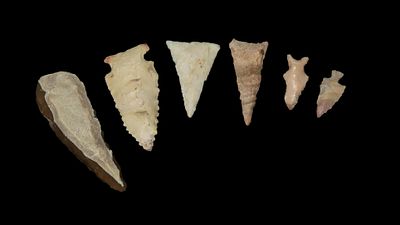 Lot of Miscellaneous Arrowheads, From Tennessee