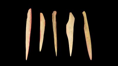 5 Red-stained Bone Awls