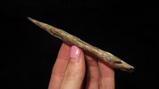 4 3/8" x 1 1/2" Stillwell, Found in Pettis Co. Missouri, Ex. Herb Mangold CollectionImage - 2
