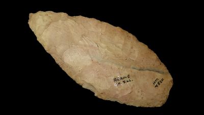 5 1/4" x 2 3/8" Knife Blade, Found in Adams Co. Illinois by Art Lepper on his farm south of 